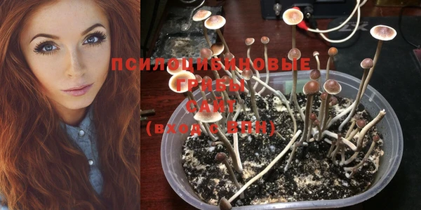 кокс Кукмор