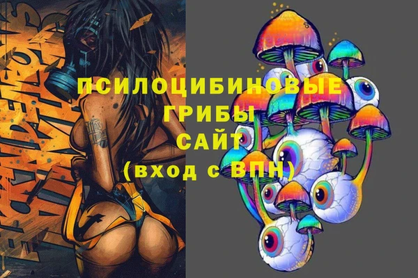 дурь Кулебаки