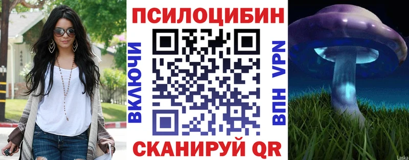 Галлюциногенные грибы GOLDEN TEACHER  Купить где  Каменка 